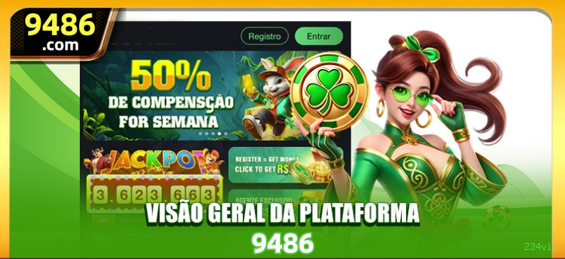 Privacidade 234vip